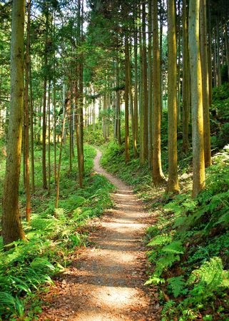 Best Hiking And Walking Trails In Hampton, VA