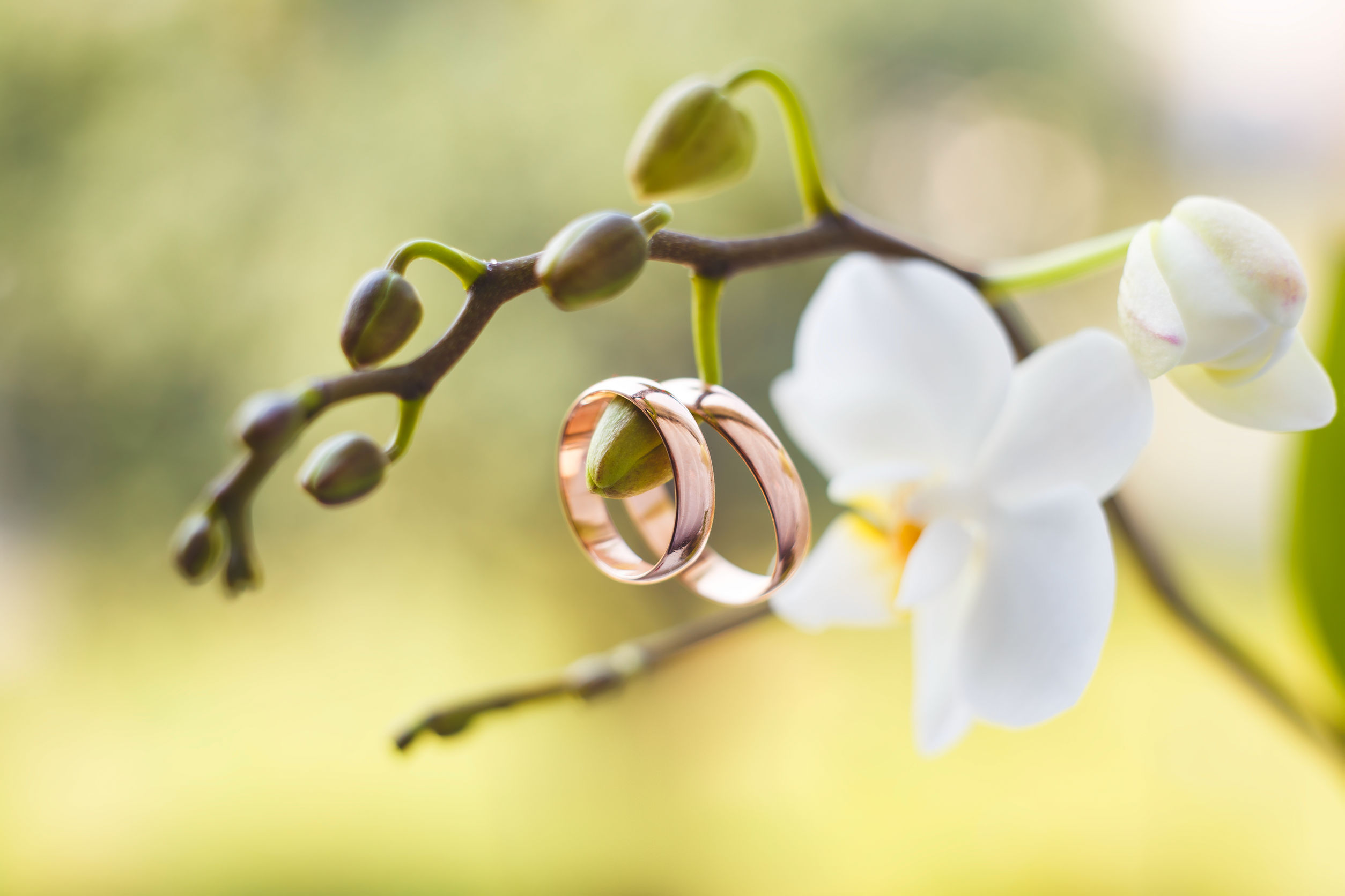 prenuptial agreement prior to getting married